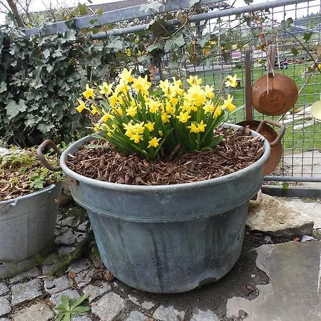 Διαμέρισμα Nina